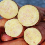 Kategoriename Kategoriename